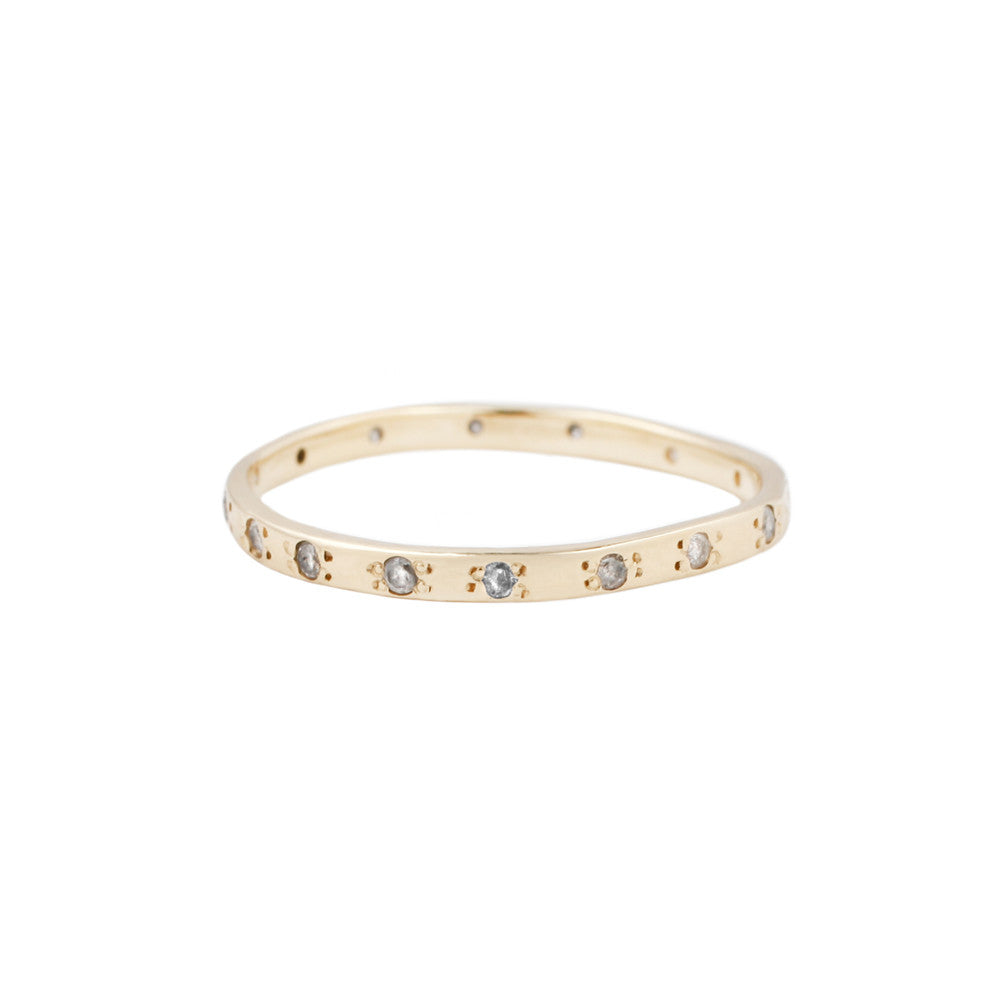 The Ice Band
